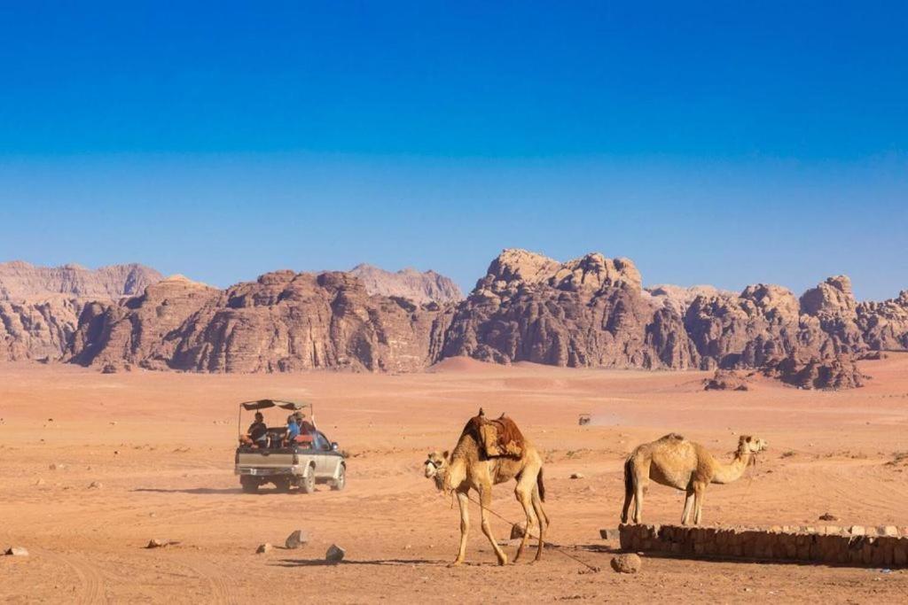 Bedouins Life Camp Hotel Акаба Екстериор снимка