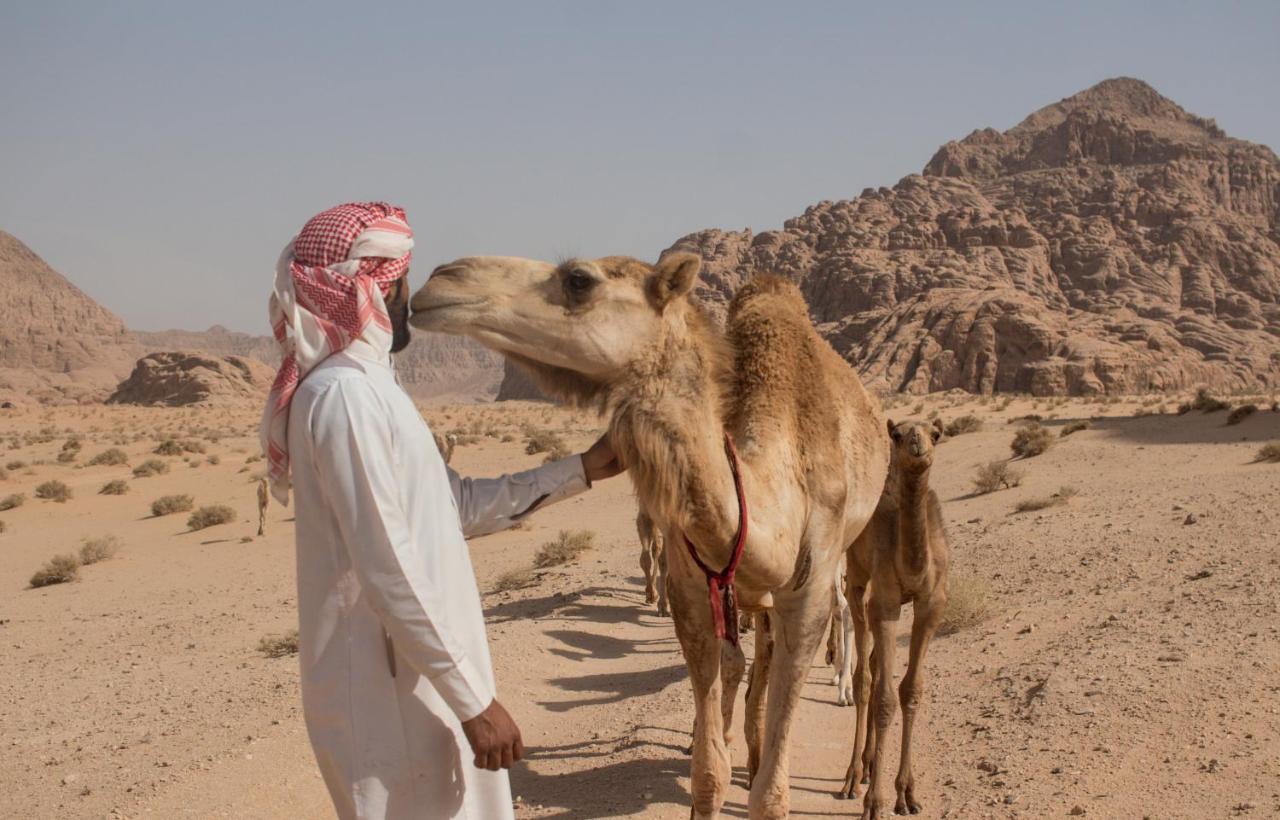 Bedouins Life Camp Hotel Акаба Екстериор снимка