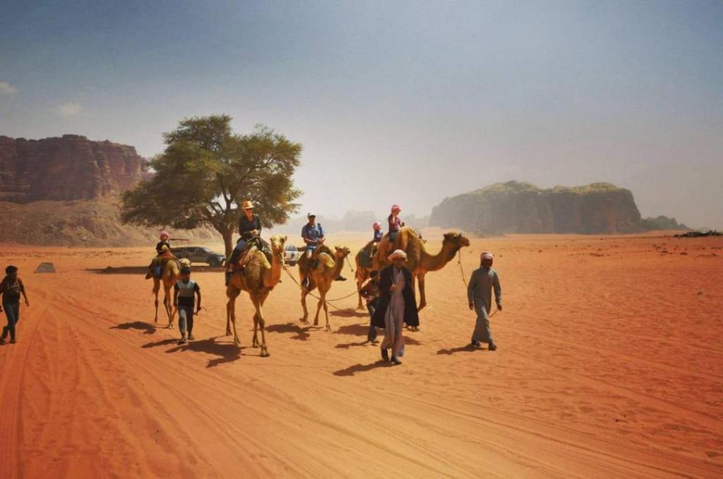 Bedouins Life Camp Hotel Акаба Екстериор снимка